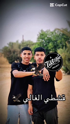 حسابات مقترحة