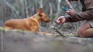 farmer collecting soil samples in a test tube in a field. Agronomist checking soil carbon and plant health on a farm in a field