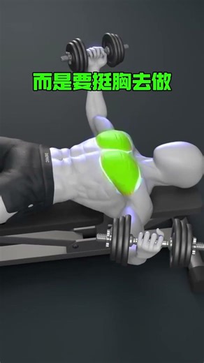 这样做仰卧哑铃鸟式锻炼，你的胸肌将非常发达