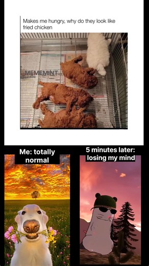 “This Cute Dog Meme Will Break Your Brain in 5 Minutes 😂🔥 | Relatable Meme #funnyshorts #memes #7x7