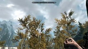 Skyrim Performance PLUS