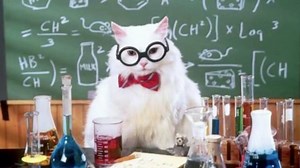 15K views · 182 reactions | Cats, cats, cats! From cat nip to cat pee—in this episode, we present the chemistry of cats! | Reactions | Facebook