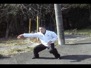 中国拳法（八極拳・劈掛拳・螳螂拳・太極拳 他）