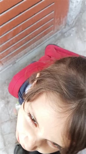 StreetParatha (@cookingexpert1988)’s videos with original sound - StreetParatha