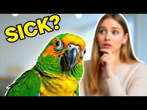 Your Parrot Might Be Sick (10 Signs Most Owners Miss)😯