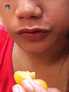 17K views · 146 reactions | Cooking Snake Soup & Eating for jungle food Part 10 | Jungle Food TV | Facebook