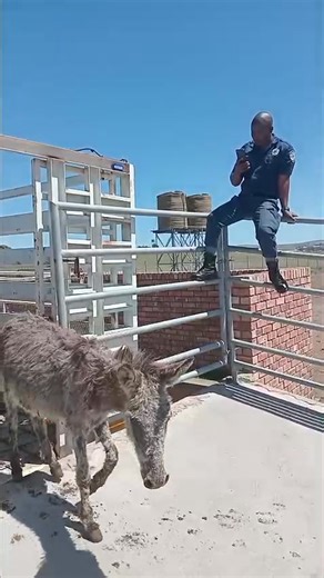 Mnquma Municipality on Reels