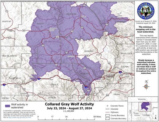 Relocation of Colorado wolf pack leaves people wondering: Where will they go next?