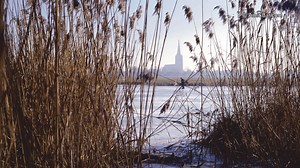 My Achterhoek landscapes by Amit Bar