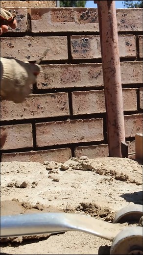 Brick by brick, line by line, perfection is built in the details. 👊 Here’s to starting the week with focus, pride, and craftsmanship that speaks for itself. 💥 #MondayMotivation #ltmengineeringandconstruction #ConstructionLife #BuiltWithPride #AttentionToDetail #Brickwork #TeamLTM #Craftsmanship #WeGetItDone #EngineeringExcellence #BuildingDreams | LTM Engineering & Construction