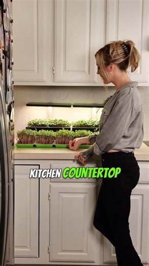 🌱 Think you need a huge garden to grow your own food? Think again! Microgreens are perfect for small spaces. You can grow 1-2 pounds of microgreens every two weeks on just 1 square foot of your kitchen countertop. Want to scale up? With two small grow racks, you can grow 15-30 pounds every two weeks—enough to start a small business! Plus, you can cut costs to under $0.50 per tray, saving over $10 compared to store prices. 🌱 What’s stopping you from starting your own mini farm at home? 👇👇 🥳 