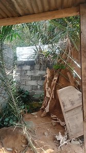 Arrêter de chier dans Les couloirs Le concept alevé calisson | Assène Jumeaux