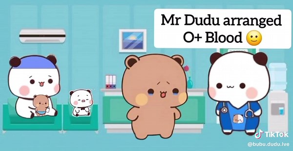 New Princess Bubu Dudu: Welcome Our Baby Girl