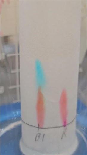Paper Chromatography of Food Dyes 5x Speed #chemistry #chromatography