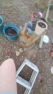 hit a jump course (gone wrong) 😔😭