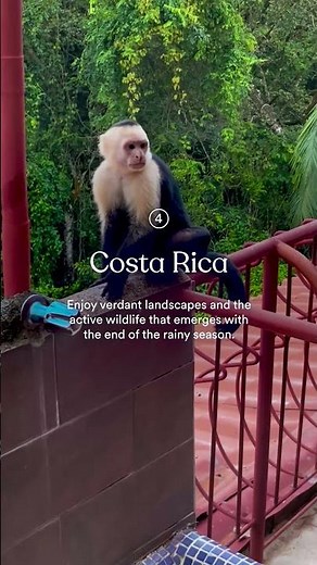 5 of the best places to travel this spring