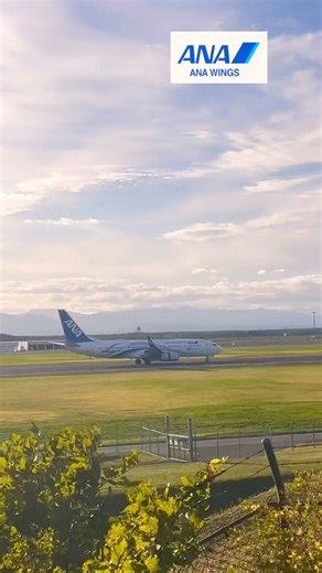 新千歳空港 ANAウイングスEXPO2025 ANA JET B737-800