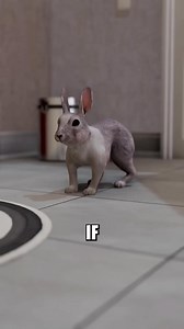 If your rabbit suddenly stopped breathing #animals #pets #shorts | Life of Paws