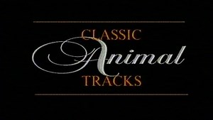 Classic Animal Tracks | KET