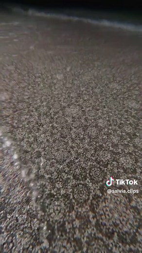 LSD Trip Simulation: An Immersive Visual Experience