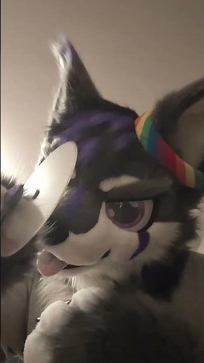 What my pizza sees... #furry #fursuit #furries #furriesofinstagram #furriesoftiktok