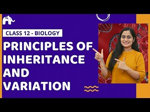 Principles of Inheritance and Variation in One Shot (NCERT) Video Lecture | One-Shot Videos for NEET