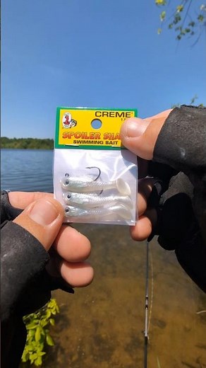 Testing Creme Spoiler Shad Fishing Lure