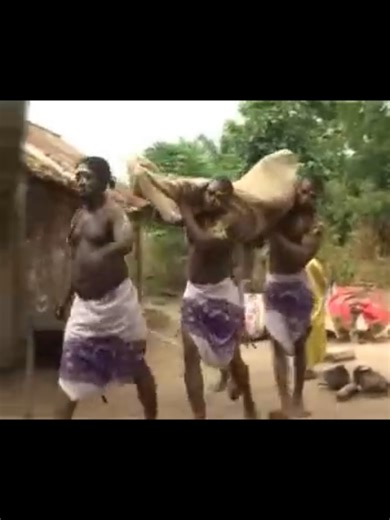 Funny Dogs Video: Akrobeto's Hilarious Adventure