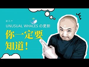 🚢你一定要懂的Unusual Whales更新和期权交易流过滤 | COPE, Flow Ratio, Ticker Flow怎么用？