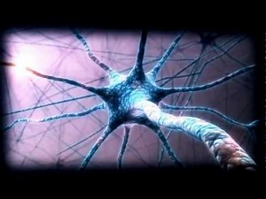 The BioCentrism Theory