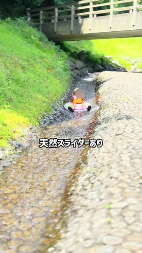 この川、綺麗すぎてサワガニがめっちゃいるんだよ✨✨ 今回は栃木県足利市にある「松田川親水公園」を紹介🥰 ここ、ダムの下流にあるんだけど、とにかくカニが多いの！ しの家でも5〜6匹くらい見つけられた‼️ 慣れてる人達は10匹以上捕まえている家族もいたよ😳‼️‼️ ⚠️サワガニなど、捕まえた生き物は生態系を守る為、持ち帰らずに自然に還してあげてね🙏⚠️ ここの川、人工的に整備されている川で、ウォータースライダーみたいに遊べる所もあるよ。 ウォータースライダーみたいに遊ぶためには浮き輪が必須。体にあったサイズからワンサイズ〜2サイズくらい大きい浮き輪だと上手く進めるよ！体にぴったりサイズの浮き輪だと進まないから注意してね😂 全体的に浅いし、小さい子でも安心して遊ばせられるのも嬉しい💕深いところでも大人のスネくらいだった。 ただ、川の石が丸みを帯びてないの😂 マリンシューズは準備して行ってね🙏 トイレは仮設トイレが近くに3つ。 公園の隣がキャンプ場になっていて、その管理棟の中にもトイレがあるよ。 キャンプ場のHPを確認すると、キャンプ場を利用しない、公園を利用するだけの人も、管理