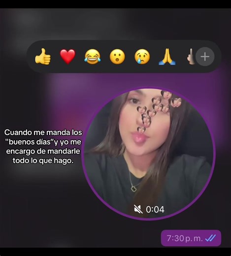 Filtros de Corazones en Notas de Video de WhatsApp