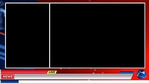 Reporter Presents News On Greenscreen Stock Footage SBV-348376060 - Storyblocks