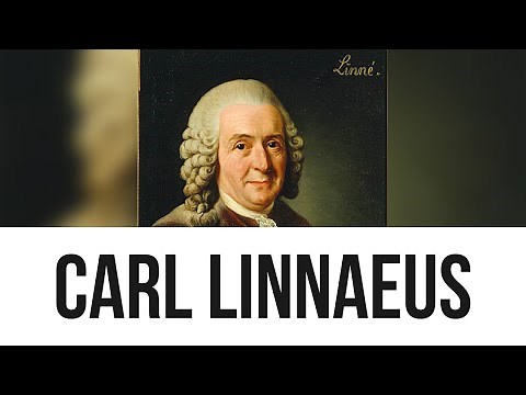 Carl Linnaeus: Everything you need to know...