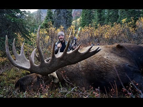 HUGE MOOSE, DALL'S SHEEP, AND MULE DEER! | L2H S09E12 "Traveling Warrior"