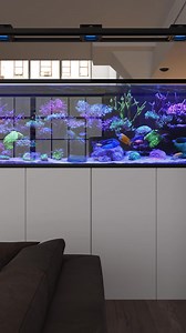 65K views · 961 reactions | The REEFER Peninsula G3 reef-ready systems benefit from a fully redesigned flow system and new hydrodynamically superior piping, delivering up to 50% more circulation. They include a dual-side viewing layout and all the popular REEFER features, come with an extended warranty of up to 5 years, and are fully customizable with all your preferred equipment. | Red Sea | Facebook