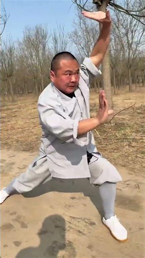 Master Martial Arts: Every Move Counts, Every Hit Counts