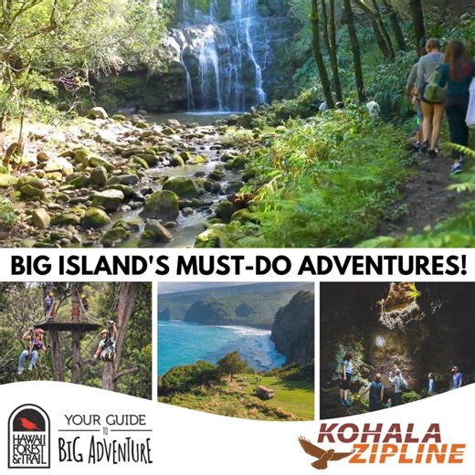 Unleash your sense of adventure and experience the thrill of ziplining through the spectacular trees🌴of The Big Island with Kohala Zipline! After your exhilarating zipline adventure, continue your journey with us for a stunning waterfall or volcano tour!🌋 Book now and immerse yourself in the natural beauty of Hawaii! 🌈 | Hawaii Forest & Trail