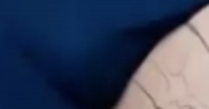 Man Wakes Up With Huge Penis Tattoo On His Leg (NSFW)