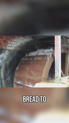 Ancient Roman Engineering: Aqueducts, Cranes & More! #shorts