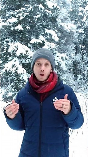 La survie des conifères