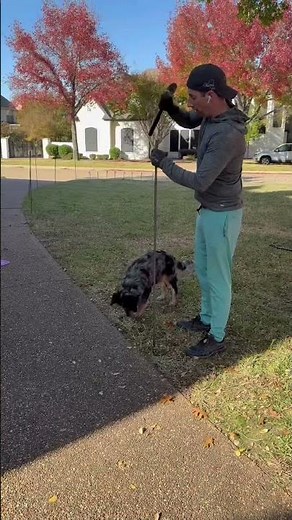 DIY Outdoor Christmas Yard Decorations Giant Light up Archways