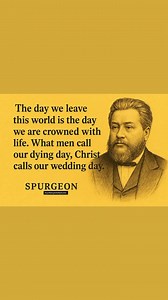 7.7K views · 173 reactions | Ronnie Booth on Reels | Facebook