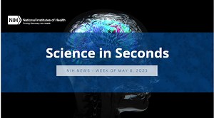 Catch up on the latest NIH research news: Genetic risk factors for non-Alzheimer's related dementia, the release of a new collection of human genome sequences, how the brain acquires omega-3 fatty acids, and the risk between sleep apnea and long COVID. https://www.youtube.com/watch?v=-2daNbRh190 | National Institutes of Health (NIH)