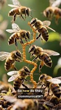 Inside the Beehive: A Superorganism Run Like a City 🐝 #Nature #Science