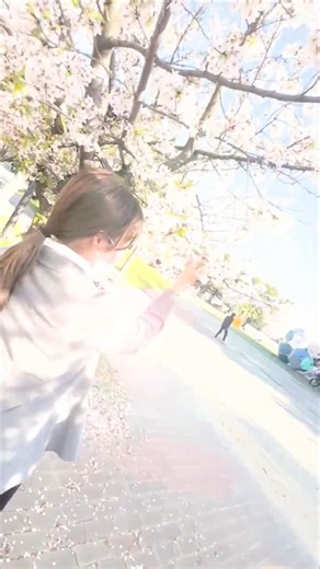 桜の季節に届けたい4月のお知らせ