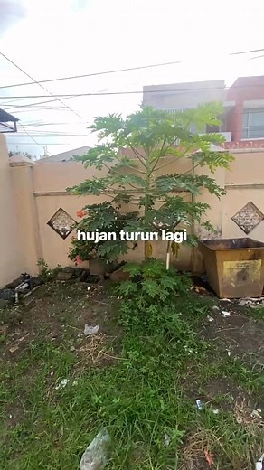 hujan turun lagi | AL Francc