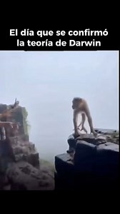 Darwin propuso que todas las especies descienden de un ancestro común y cambian con el tiempo. Estos cambios se deben a la selección natural: los individuos mejor adaptados sobreviven y se reproducen más. Con el paso de muchas generaciones, las especies se transforman y pueden dar origen a nuevas. #curiosidades #animals #animales #ciencia | Ciencia de la vida