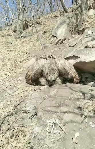 tt3391245p2 on TikTok