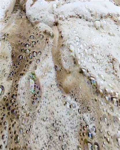 32K views · 478 reactions | With this method, turn the dirtiest carpets into perfectly clean carpets in just a few minutes #rug #carpet #satisfying #rugcleaning #carpetwashing #carpetcleaning #carpetpython | Awesome Carpet | Facebook